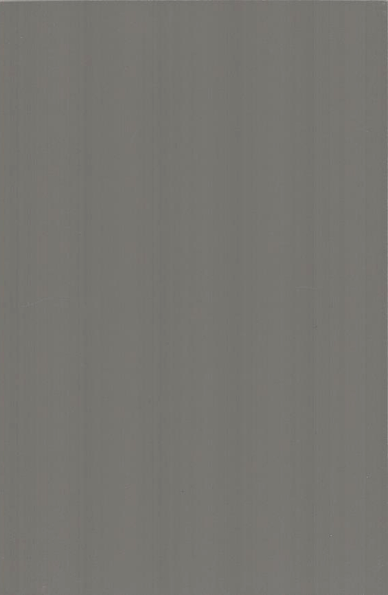 Gauntlet Gray