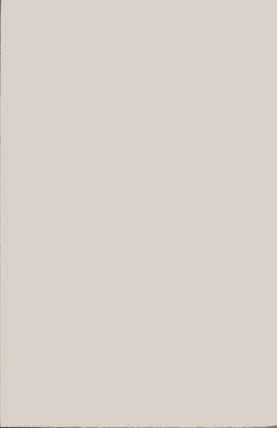 Light Pewter
