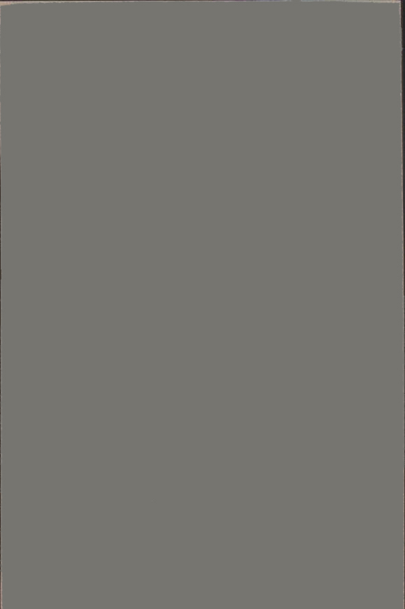 Troll Gray